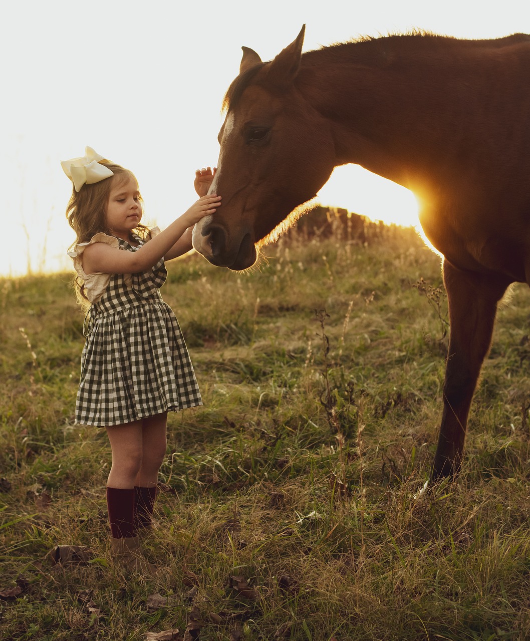 horse, sunset, girl-3970041.jpg