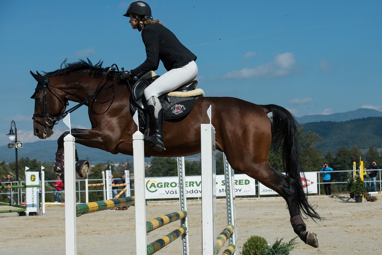 parkour, jumping, a horse-996393.jpg